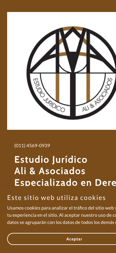 La web anterior de Estudio Ali en el celular